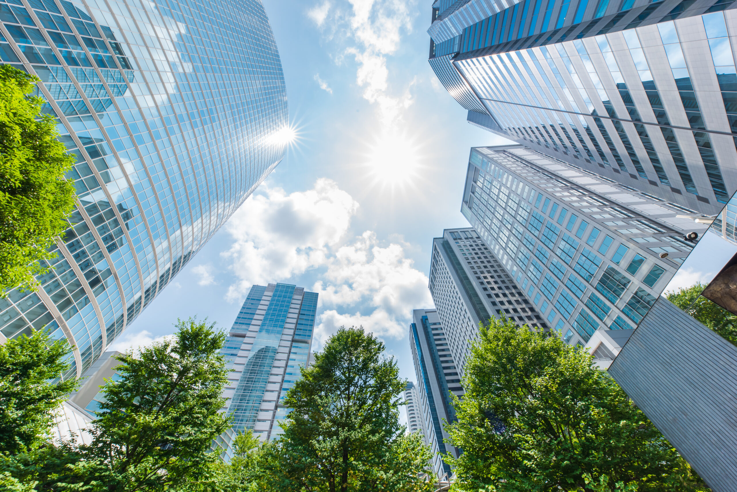 おすすめのライブコマース会社はどこ？6社の特徴やサービス、成功事例を紹介